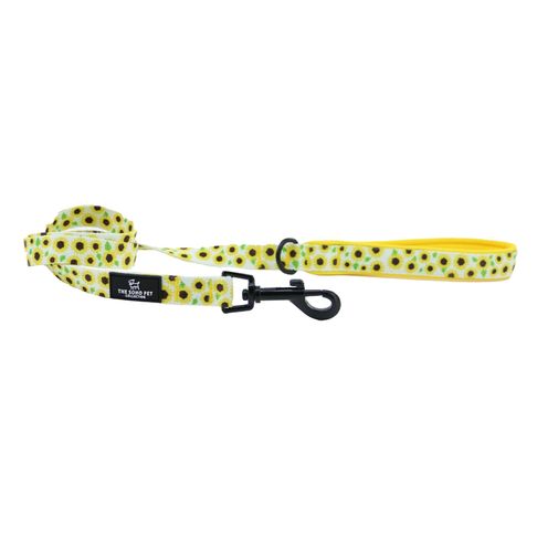 Ancol Soho Pet Collection Sunflower Dog Lead
