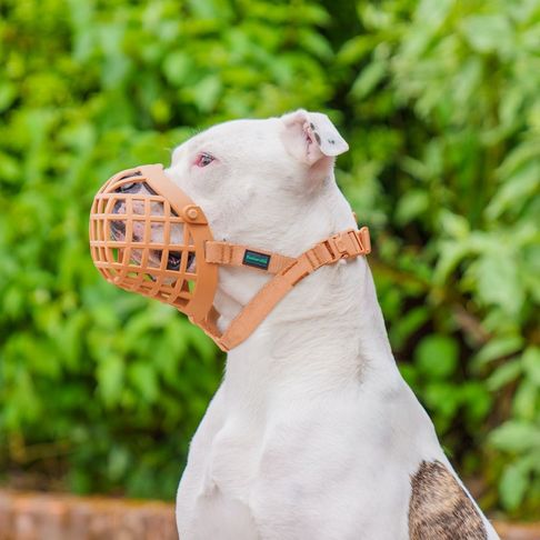 Baskerville Wide Fit Muzzle