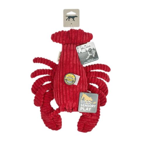 Tall Tails Lobster Crunch Dog Toy