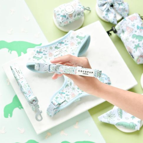 Cocopup Dinopaws Collar