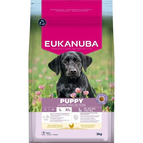 Eukanuba Puppy Large Breed Chicken