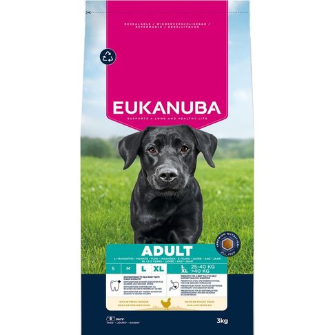 Eukanuba Adult Dog Large Breed Chicken