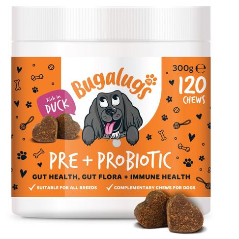 Bug Pre&amp;probiot Chews