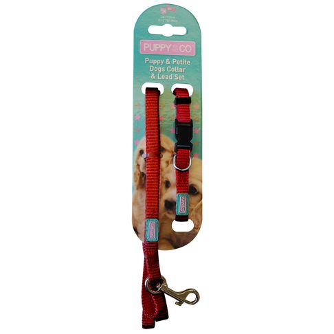 Pup &amp; Co Red Puppy Collar &amp; Lead Set (120cm)
