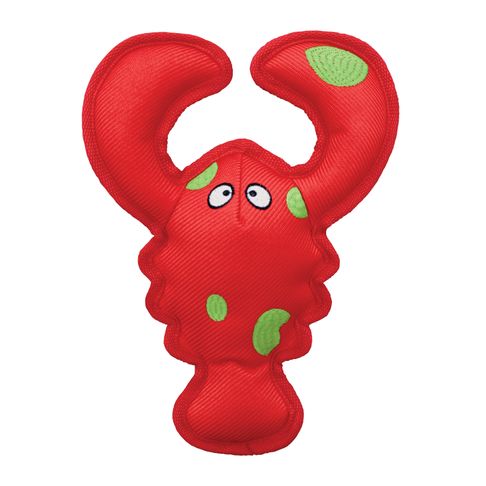 KONG Belly Flops Lobster