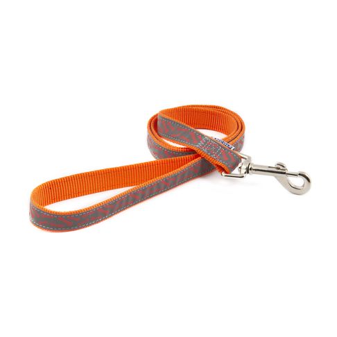 Ancol Fashion Nylon Dog Lead in Orange Bone Design 19mm X1m
