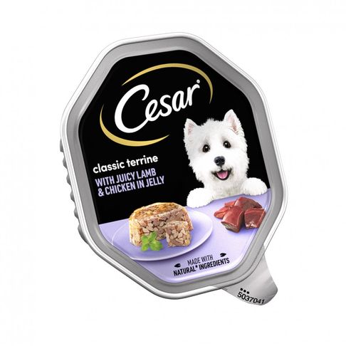 14 x Cesar Classic Terrine With Juicy Lamb &amp; Chicken In Jelly Dog Food 150g