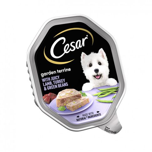14 x Cesar Garden Terrine With Juicy Lamb Turkey &amp; Green Beans In Loaf Dog Food 150g